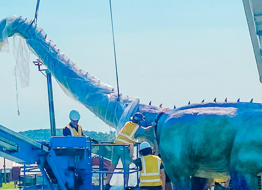 An 8-meter-tall green electronic Mamenchisaurus is being installed