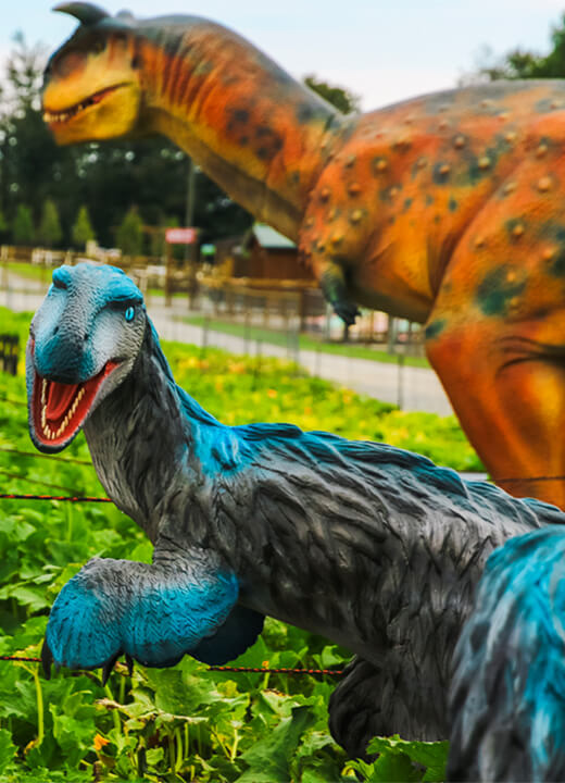 A blue feathered velociraptor and an orange carnotaurus in a vegetable patch at Jurassic Farm