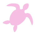 Pink turtle icon