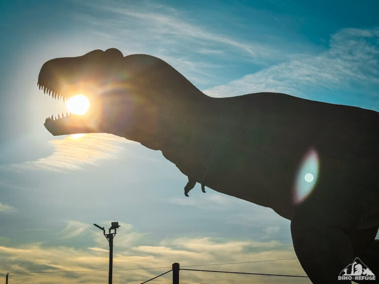 Dino Fest Dinosaur t rex sunshine