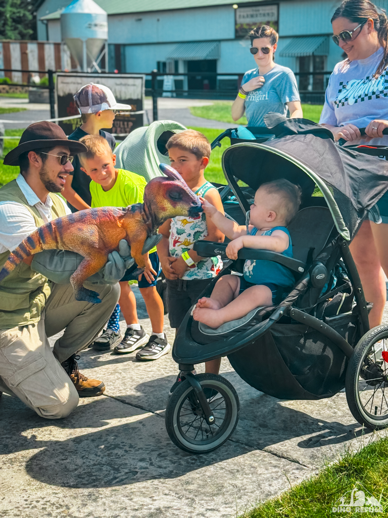 Baby dinosaur at Agritourism farm