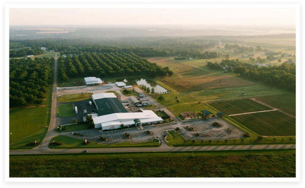 Aerial view of Lane Southern Orchards dino days